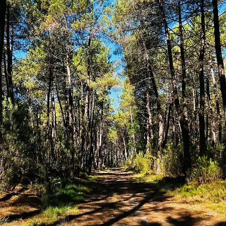 Gasthof La Regence Ch 1 *