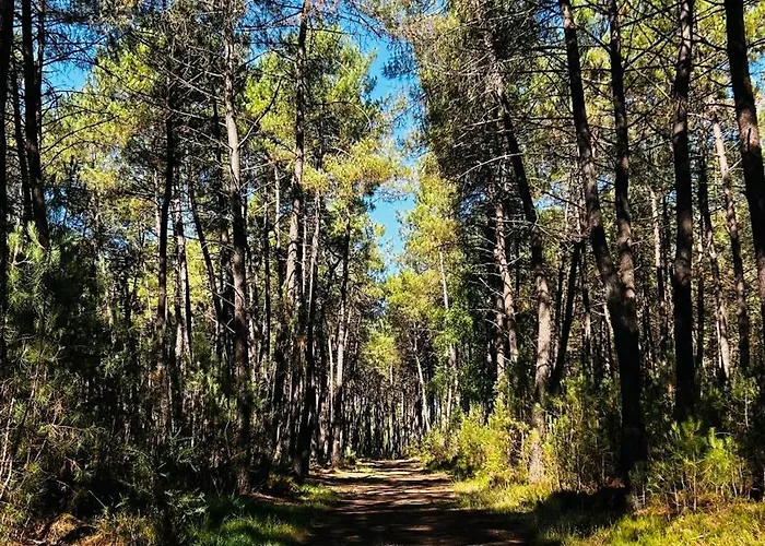 招待所 La Regence Ch 1 *